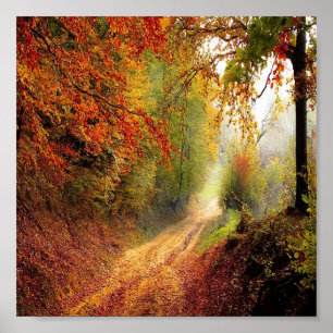 Trockenes Blätter Waldposter Foto Poster