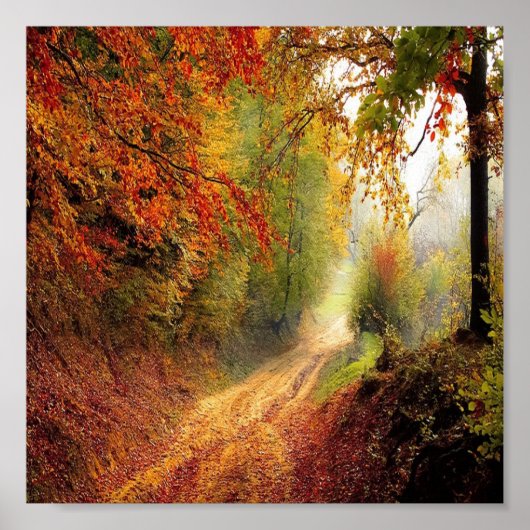 Trockenes Blätter Waldposter Foto Poster (Vorne)