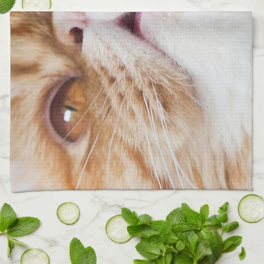 Trockenes DA-Geschirr! Geschirrtuch (Gefaltet)