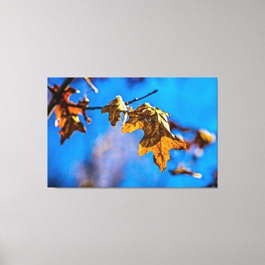 Trockenes Eichenblatt - Der Frühling ist noch weit Leinwanddruck (Vorderseite)