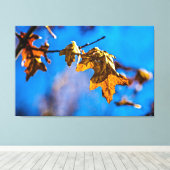 Trockenes Eichenblatt - Der Frühling ist noch weit Leinwanddruck (Insitu (Holzboden))