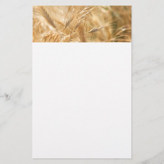 Trockengras Briefpapier (Vorderseite)