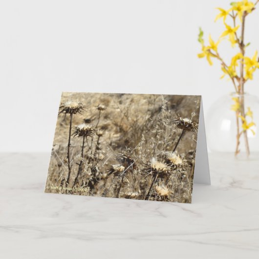 Trockengras Karte (Gelbe Blume)