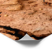 Trockenheit auf dem Erdboden Poster (Ecke)