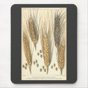 Trockenheitsresistente Weizenpflanze, Vintage-Land Mousepad