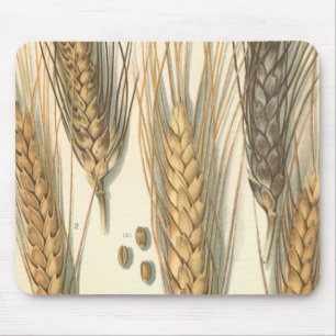 Trockenheitsresistente Weizenpflanze, Vintage-Land Mousepad