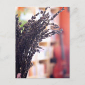 Trockenlavender, Cello & Bookcases im Hintergrund Postkarte (Vorderseite)