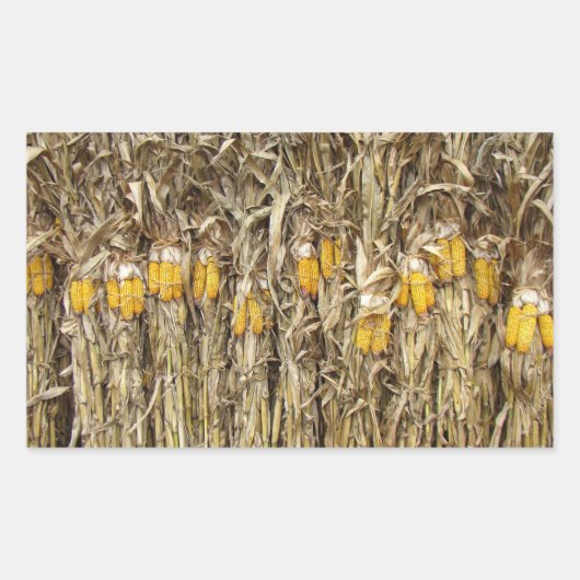 Trockenmehldekorationen Rechteckiger Aufkleber (Vorderseite)