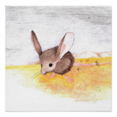 Trockenmouse Poster (Vorderseite)