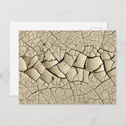 Trockenmud Postkarte (Vorne/Hinten)
