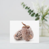 Trockenpersimmon Postkarte (Stehend Vorderseite)