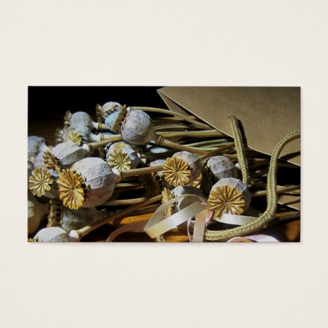 Trockenpoppy-Pods der Blume (Vorderseite)