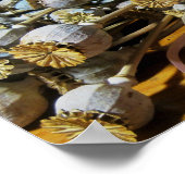 Trockenpoppy-Pods der Blume Poster (Ecke)