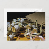 Trockenpoppy-Pods der Blume Postkarte (Vorne/Hinten)