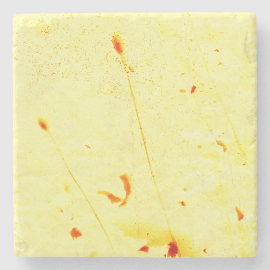 Trockenpoppy stalks sunprint Untersetzer (Vorderseite)