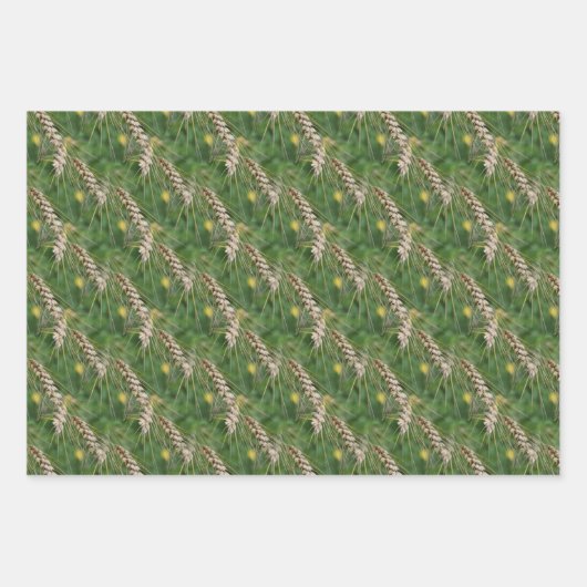 Trockenrasen-Naturmuster Geschenkpapier Set (Vorderseite 3)