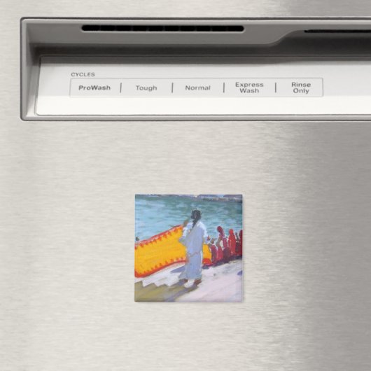 TrockenSari Pushkar Magnet (In Situ (Geschirrspüler))