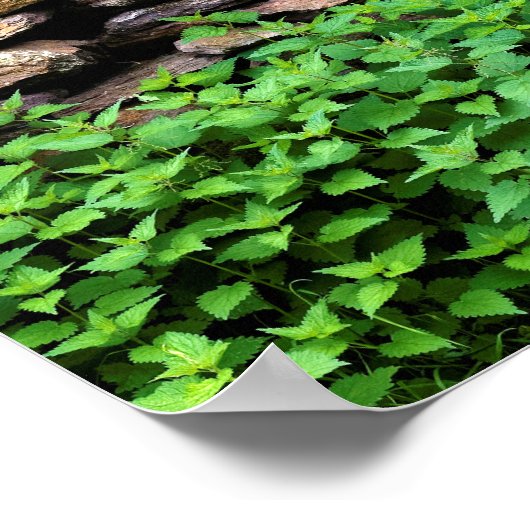 Trockensteinwand Poster (Ecke)