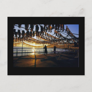 TrockenTintenfisch Postkarte