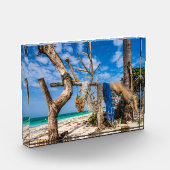 Trocknen der Netze am Strand Fotoblock (Links)