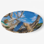 Trocknen der Netze am Strand Pappteller (Schrägansicht)