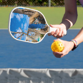 Trocknen der Netze am Strand Pickleball Schläger