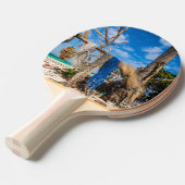 Trocknen der Netze am Strand Tischtennis Schläger (Vorderseite)