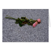 Trocknen rosa Rosen (Vorderseite (Horizontal))