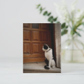 Trogir 16 postkarte (Stehend Vorderseite)