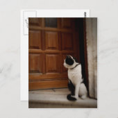 Trogir 16 postkarte (Vorne/Hinten)