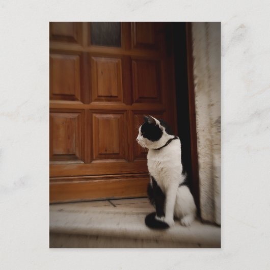 Trogir 16 postkarte (Vorderseite)