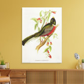 Trogon Ambiguus Leinwanddruck (Insitu (Wohnzimmer))
