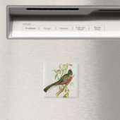 Trogon Ambiguus Magnet (In Situ (Geschirrspüler))