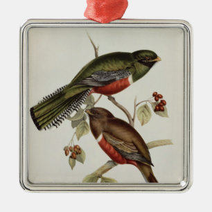 Trogon Collaris Ornament Aus Metall
