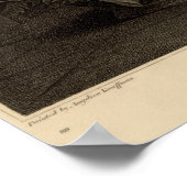 Troilus und Cressida Poster (Ecke)