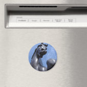 Trojaner Magnet (In Situ (Geschirrspüler))