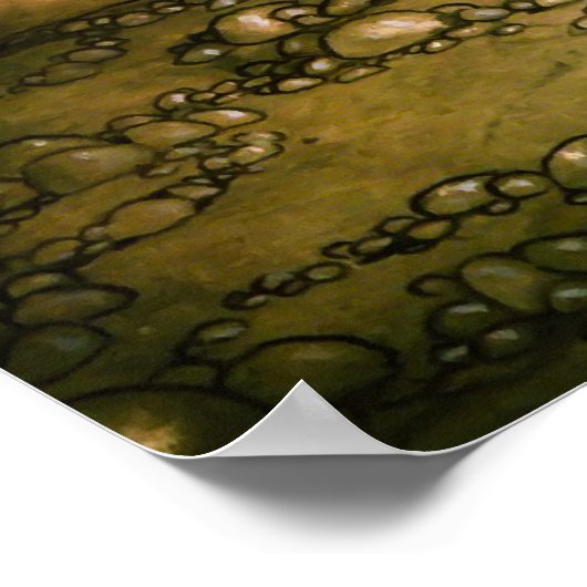 Troll, 1915 von John Bauer Poster (Ecke)