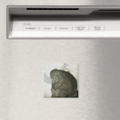 TROLL bei Erholung Magnet (In Situ (Geschirrspüler))