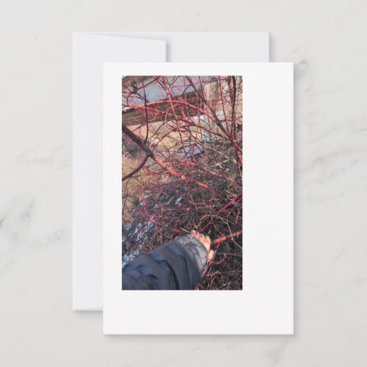 Troll Geocache Card Einladung (Vorderseite)