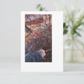 Troll Geocache Card Einladung (Stehend Vorderseite)