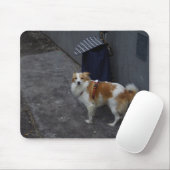 Trolleywache Mousepad (Mit Mouse)