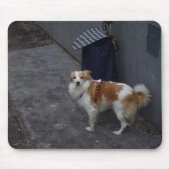 Trolleywache Mousepad (Vorne)