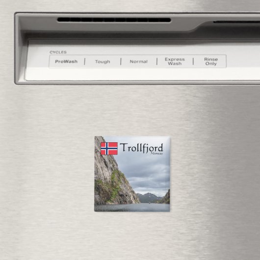 Trollfjord Souvenir Magnet (In Situ (Geschirrspüler))