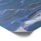 Trolling for blue fish off the coast of Maine Poster (Ecke)