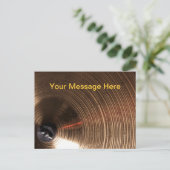 Trommel oder Drummer-Cymbal-Bild Postkarte (Stehend Vorderseite)