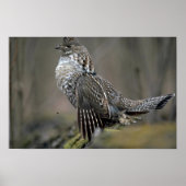 Trommeln Poster (Vorne)