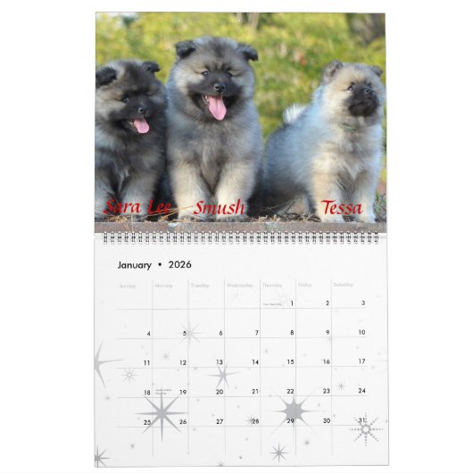 Trompetekeeshond-Kalender Kalender (Jan 2026)