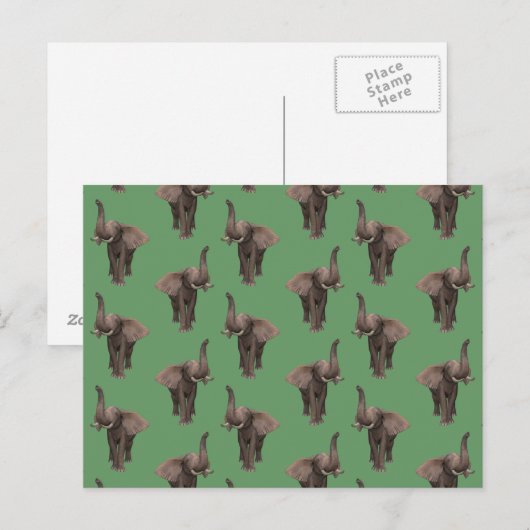 TrompetenElefant Postkarte (Vorne/Hinten)