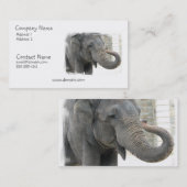Trompetenelefant-Visitenkarte Visitenkarte (Vorne/Hinten)