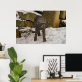 TrompetenElefanten im Schnee Poster (Heimbüro)